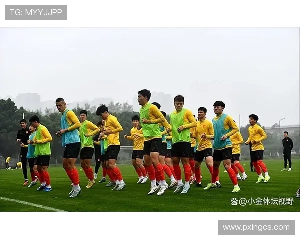 全国青年锦标赛直拍视频世界杯体育论坛